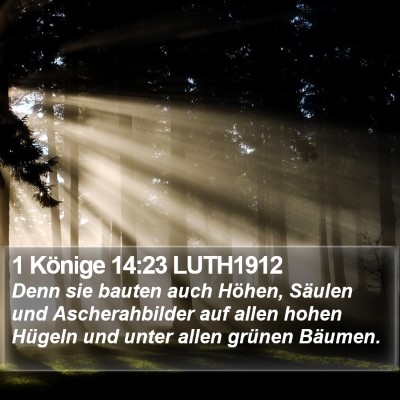 1 Könige 14:23 LUTH1912 Bible Verse Image