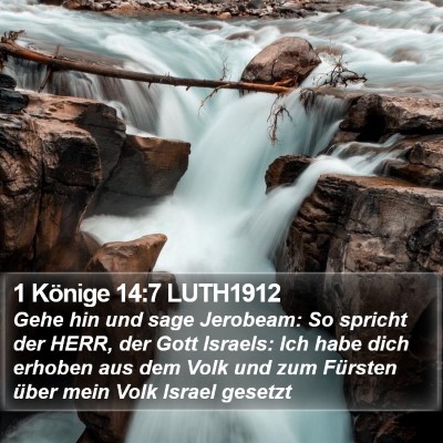 1 Könige 14:7 LUTH1912 Bible Verse Image