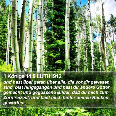 1 Könige 14:9 LUTH1912 Bible Verse Image