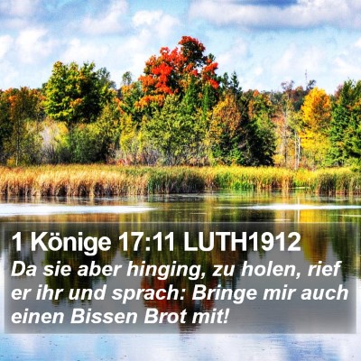 1 Könige 17:11 LUTH1912 Bible Verse Image