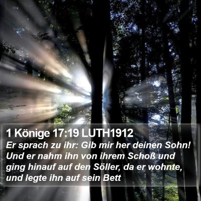 1 Könige 17:19 LUTH1912 Bible Verse Image