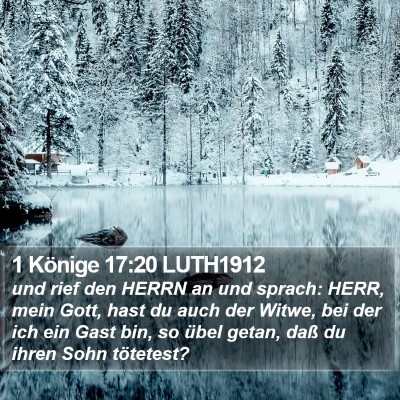 1 Könige 17:20 LUTH1912 Bible Verse Image