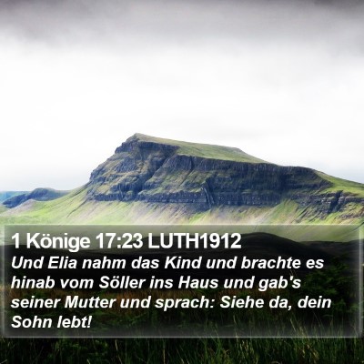 1 Könige 17:23 LUTH1912 Bible Verse Image