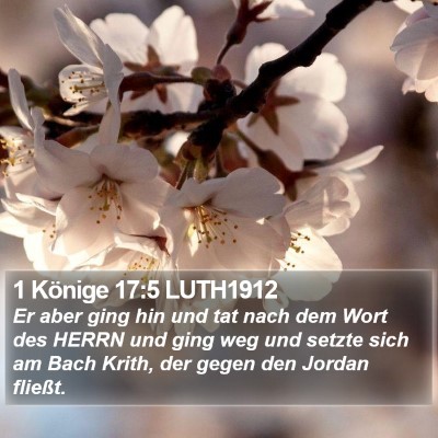 1 Könige 17:5 LUTH1912 Bible Verse Image
