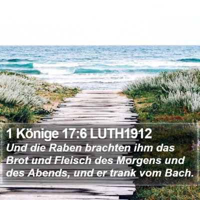 1 Könige 17:6 LUTH1912 Bible Verse Image