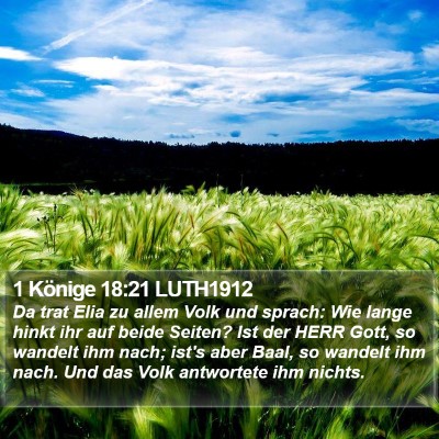 1 Könige 18:21 LUTH1912 Bible Verse Image