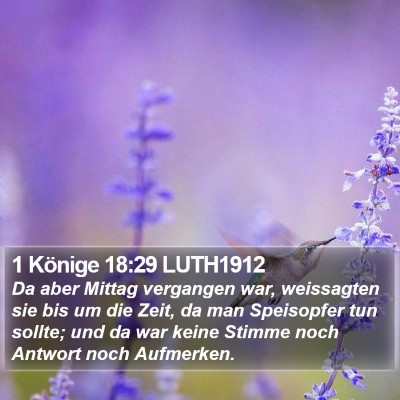 1 Könige 18:29 LUTH1912 Bible Verse Image