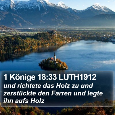1 Könige 18:33 LUTH1912 Bible Verse Image