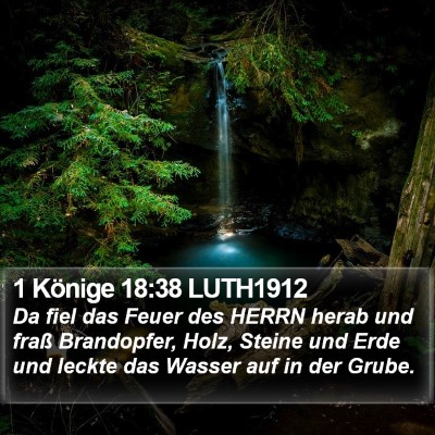 1 Könige 18:38 LUTH1912 Bible Verse Image