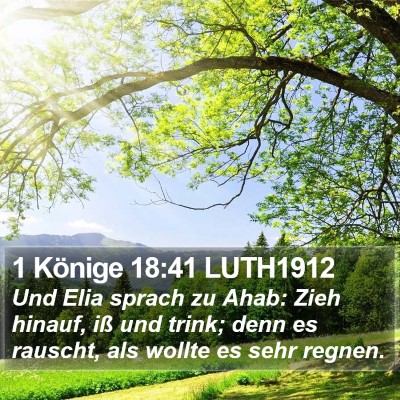 1 Könige 18:41 LUTH1912 Bible Verse Image