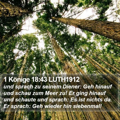 1 Könige 18:43 LUTH1912 Bible Verse Image