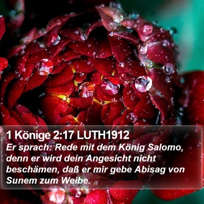 1 Könige 2:17 LUTH1912 Bible Verse Image