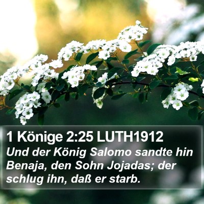 1 Könige 2:25 LUTH1912 Bible Verse Image