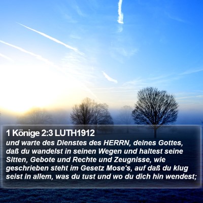 1 Könige 2:3 LUTH1912 Bible Verse Image