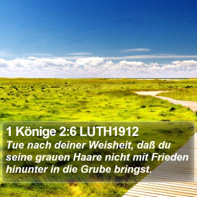 1 Könige 2:6 LUTH1912 Bible Verse Image