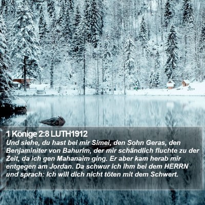 1 Könige 2:8 LUTH1912 Bible Verse Image