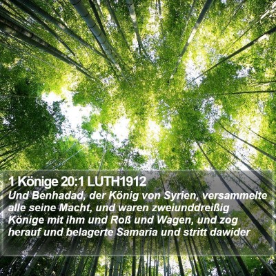1 Könige 20:1 LUTH1912 Bible Verse Image