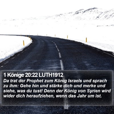 1 Könige 20:22 LUTH1912 Bible Verse Image