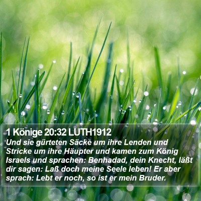 1 Könige 20:32 LUTH1912 Bible Verse Image