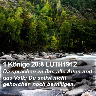 1 Könige 20:8 LUTH1912 Bible Verse Image