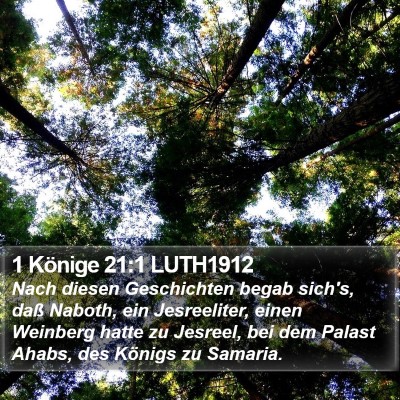 1 Könige 21:1 LUTH1912 Bible Verse Image