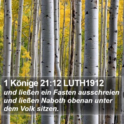 1 Könige 21:12 LUTH1912 Bible Verse Image