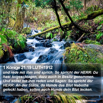 1 Könige 21:19 LUTH1912 Bible Verse Image