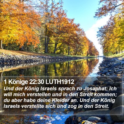 1 Könige 22:30 LUTH1912 Bible Verse Image