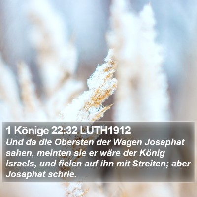 1 Könige 22:32 LUTH1912 Bible Verse Image