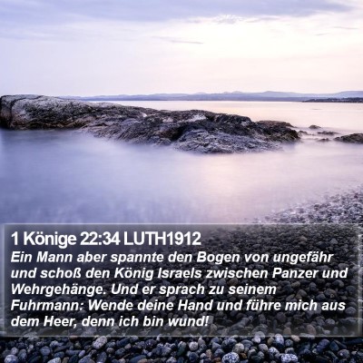 1 Könige 22:34 LUTH1912 Bible Verse Image