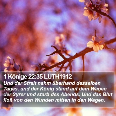 1 Könige 22:35 LUTH1912 Bible Verse Image
