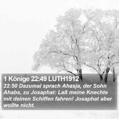1 Könige 22:49 LUTH1912 Bible Verse Image