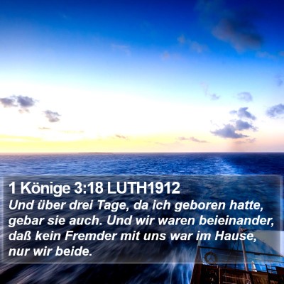 1 Könige 3:18 LUTH1912 Bible Verse Image