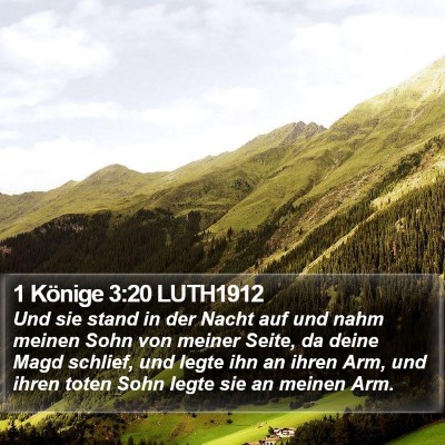 1 Könige 3:20 LUTH1912 Bible Verse Image