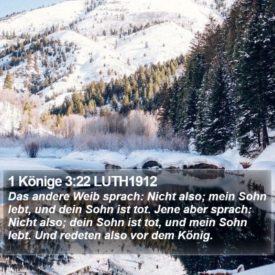 1 Könige 3:22 LUTH1912 Bible Verse Image