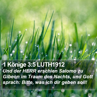 1 Könige 3:5 LUTH1912 Bible Verse Image