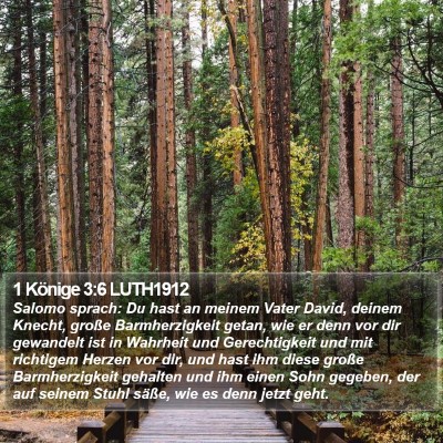 1 Könige 3:6 LUTH1912 Bible Verse Image