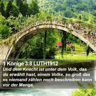 1 Könige 3:8 LUTH1912 Bible Verse Image