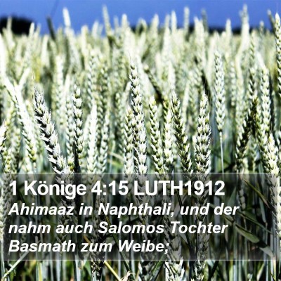 1 Könige 4:15 LUTH1912 Bible Verse Image