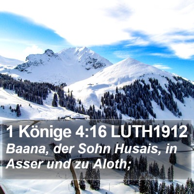 1 Könige 4:16 LUTH1912 Bible Verse Image