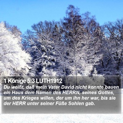 1 Könige 5:3 LUTH1912 Bible Verse Image