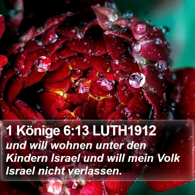 1 Könige 6:13 LUTH1912 Bible Verse Image