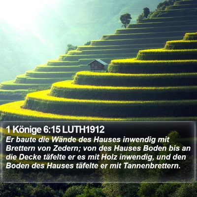 1 Könige 6:15 LUTH1912 Bible Verse Image