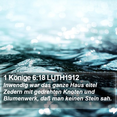 1 Könige 6:18 LUTH1912 Bible Verse Image