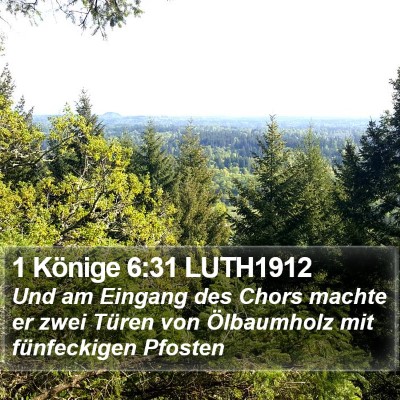1 Könige 6:31 LUTH1912 Bible Verse Image
