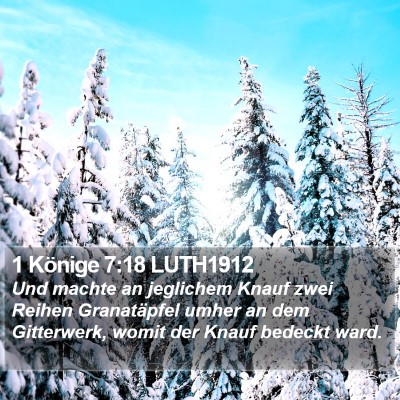 1 Könige 7:18 LUTH1912 Bible Verse Image