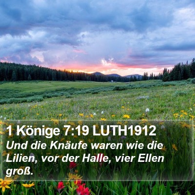 1 Könige 7:19 LUTH1912 Bible Verse Image