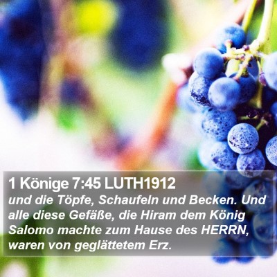 1 Könige 7:45 LUTH1912 Bible Verse Image