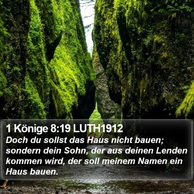 1 Könige 8:19 LUTH1912 Bible Verse Image