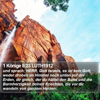 1 Könige 8:23 LUTH1912 Bible Verse Image
